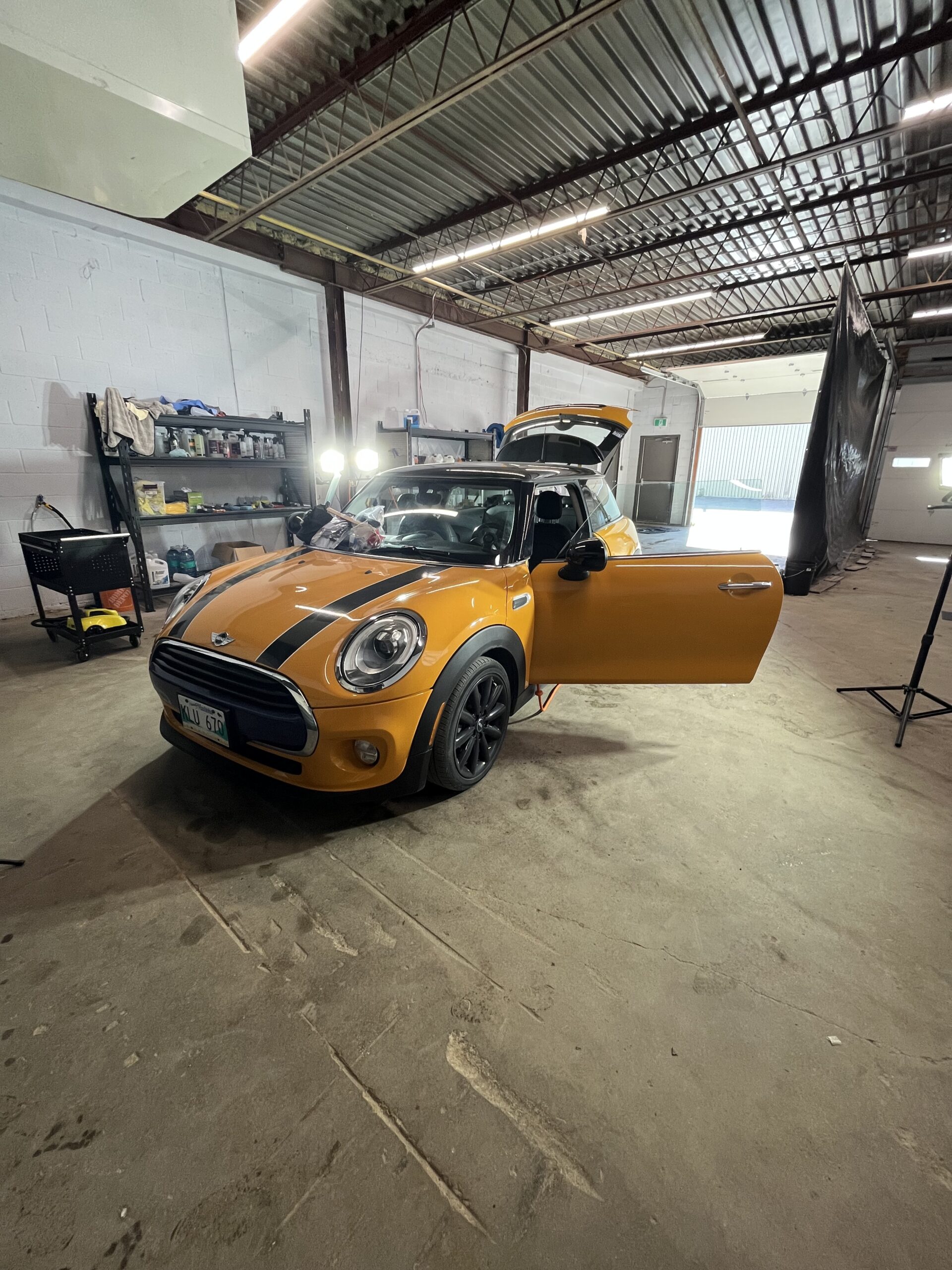 Mini Cooper Stage 2 Exterior Detailing